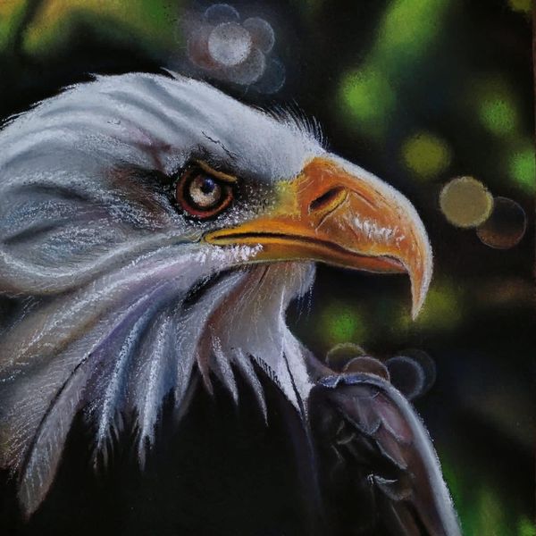 Online Soft Pastel Painting Course | Online Soft Pastel Painting Class